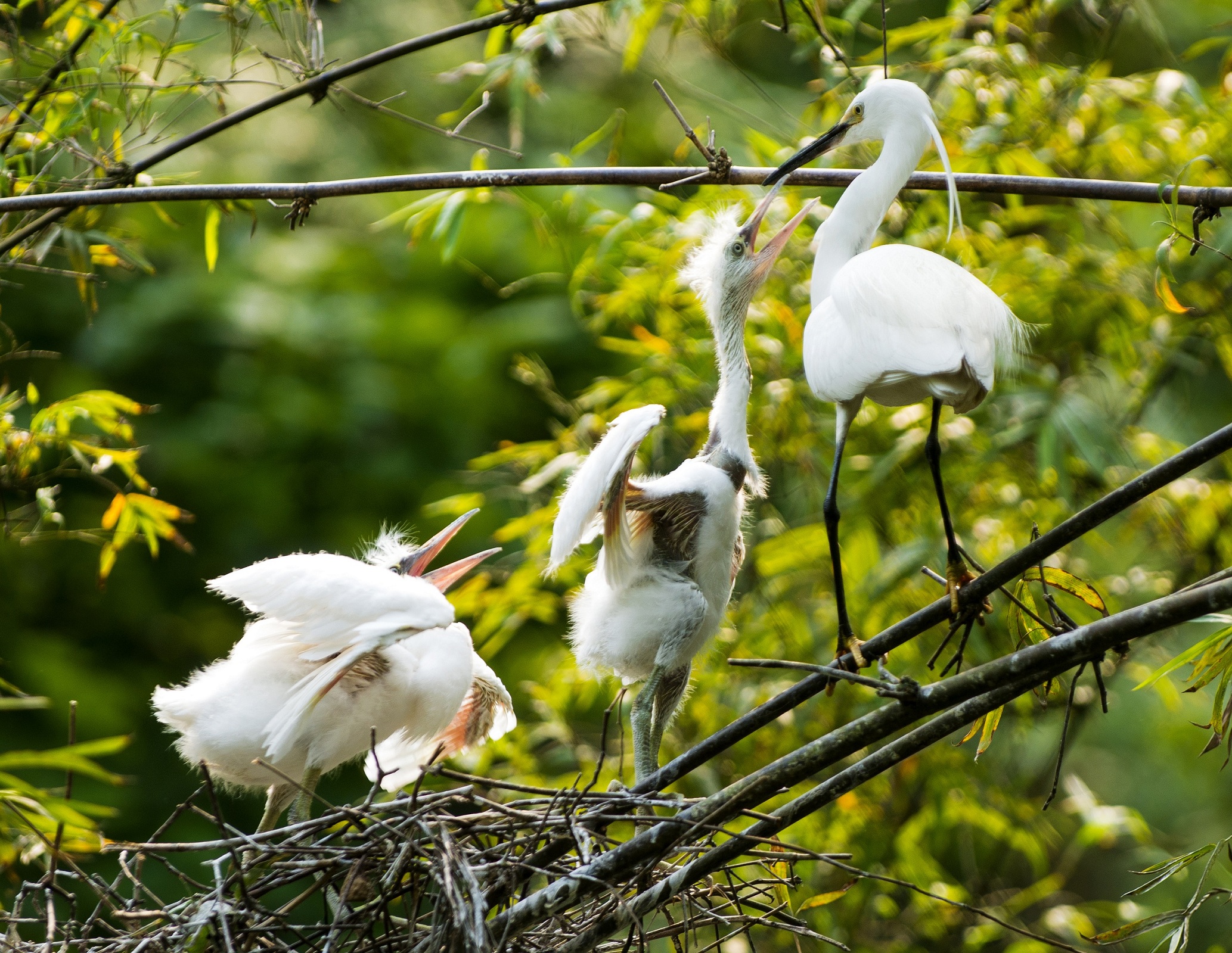 《妈妈回来了》