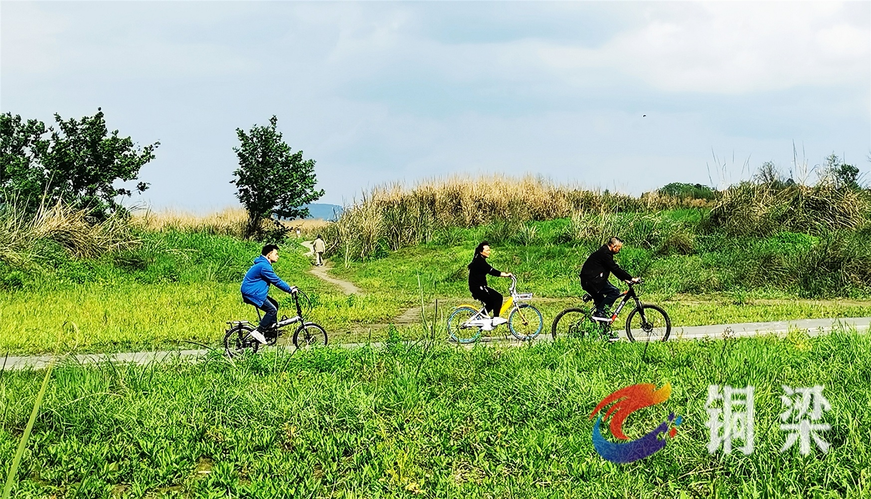 湿地保护知识知多少？铜梁这场宣传活动面对面来科普